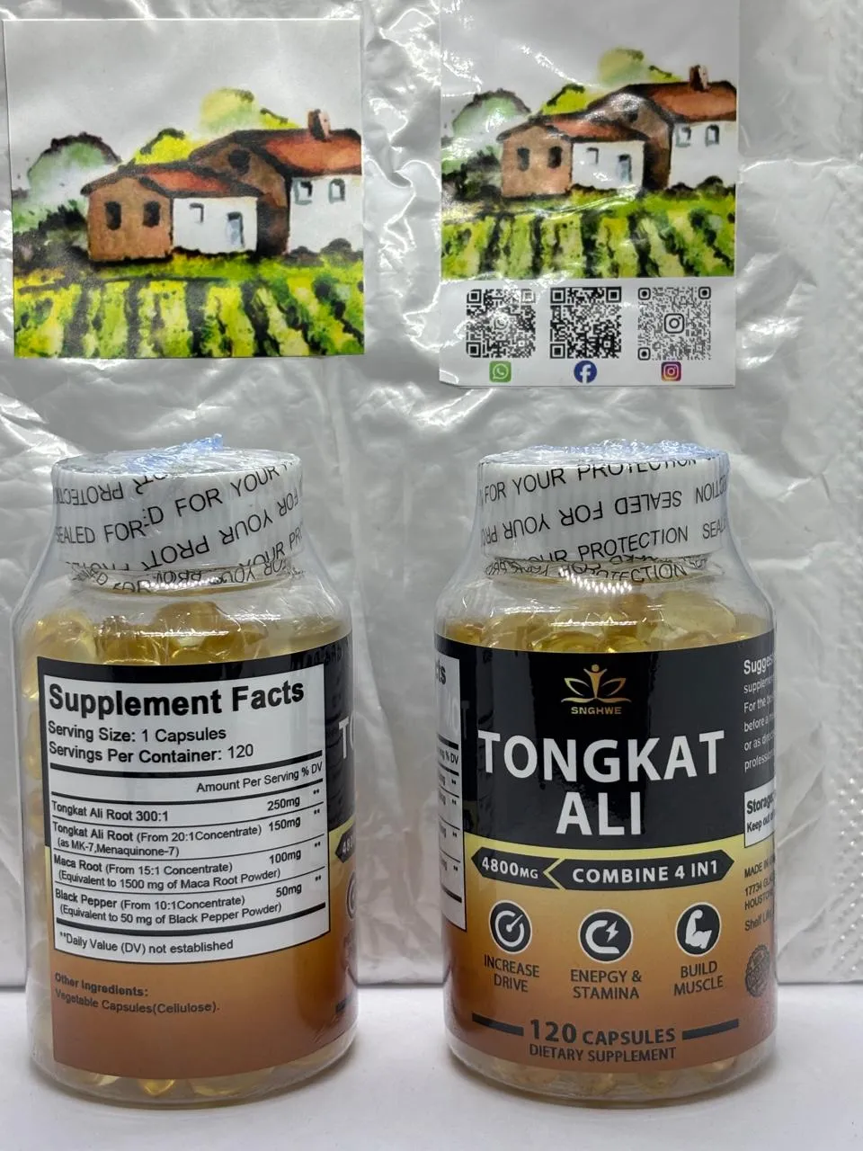 Tongkat Ali - Image 3